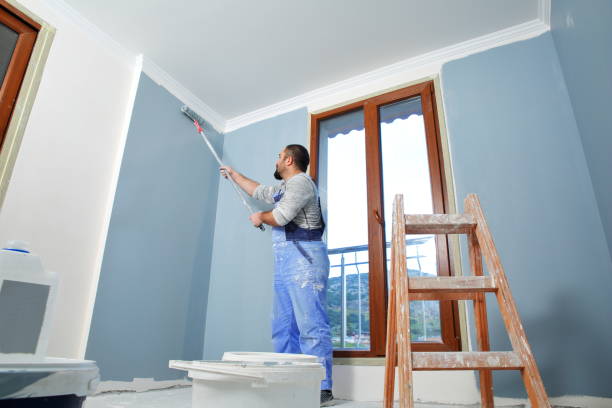 Best Residential Painting  in Potterville, MI