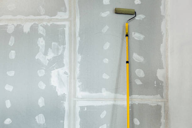 Best Water-Damaged Drywall Repair  in Potterville, MI