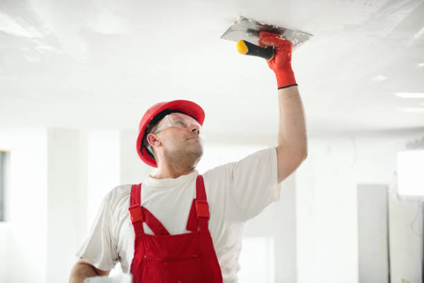 Best Ceiling Drywall Installation  in Potterville, MI