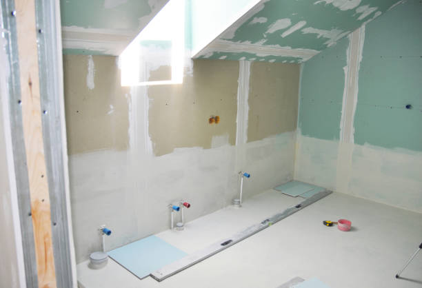 Best Painting for New Construction  in Potterville, MI